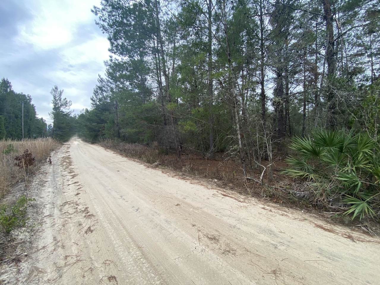 211 Suge Ln. - Photo 1