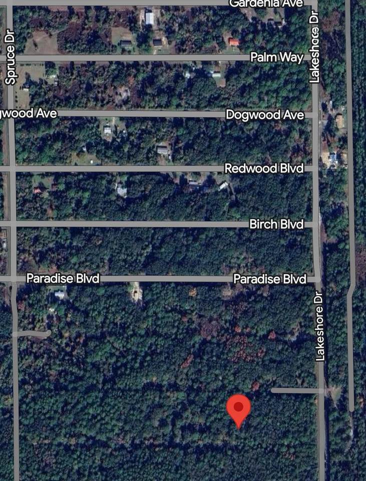 330 Chipola Dr - Photo 1