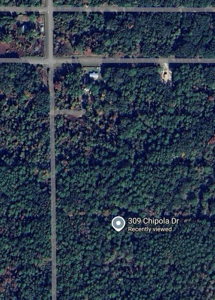 309 Chipola Dr - Photo 1