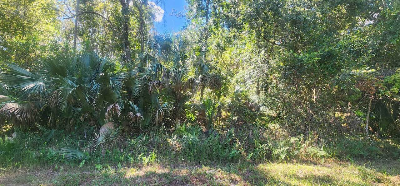 427 Dogwood Ave - Photo 1