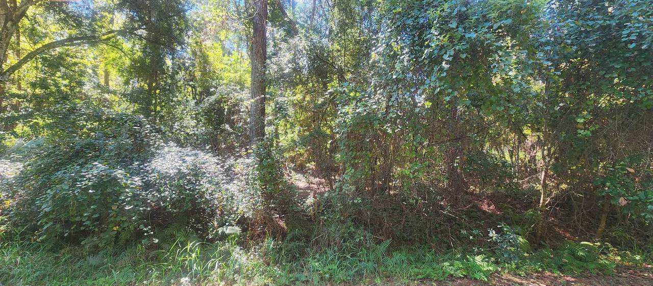 421 Dogwood Ave - Photo 1