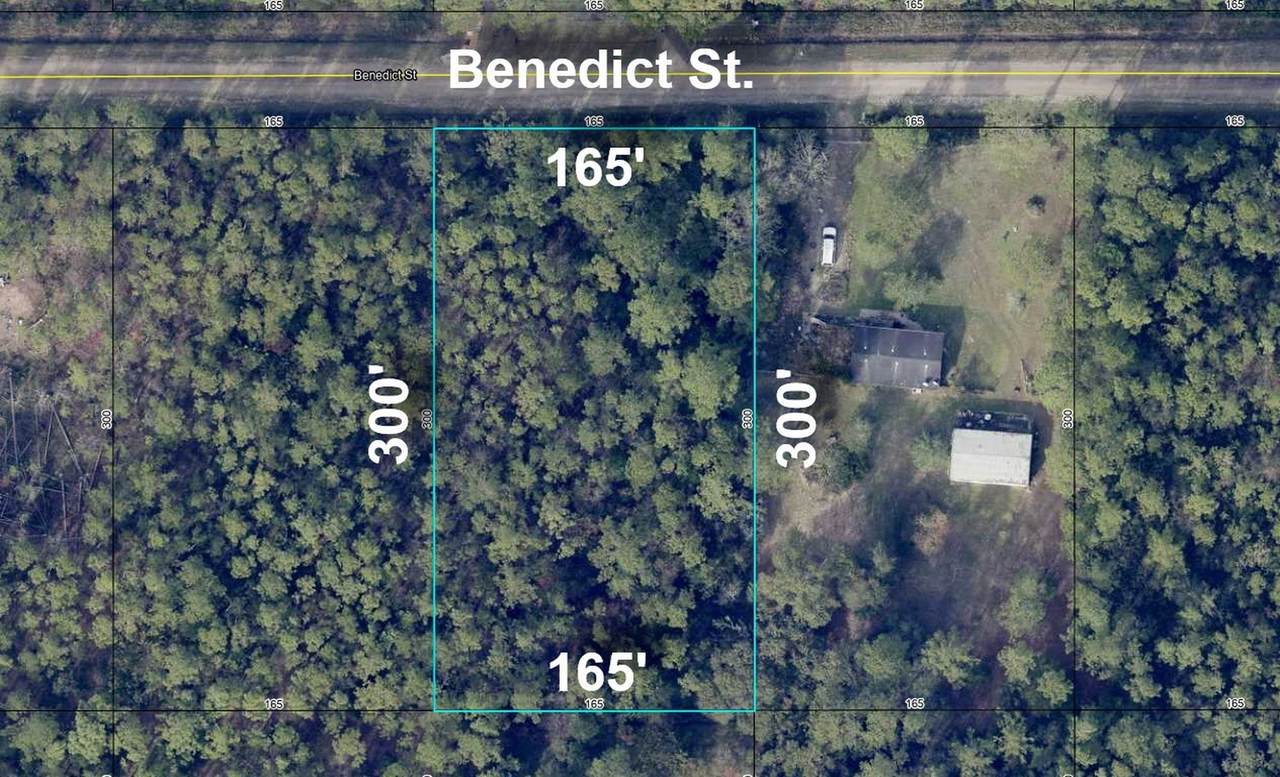 4235 Benedict St - Photo 1
