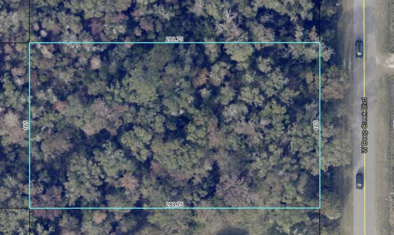 10265 W Deep Creek Blvd - Photo 1