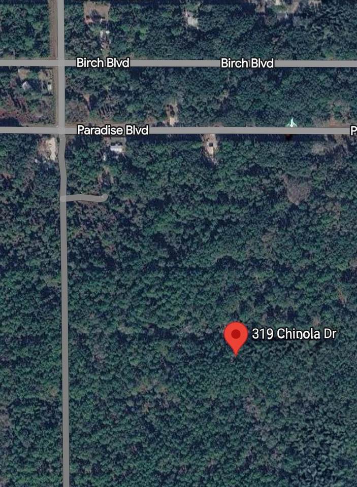 319 Chipola Dr - Photo 1