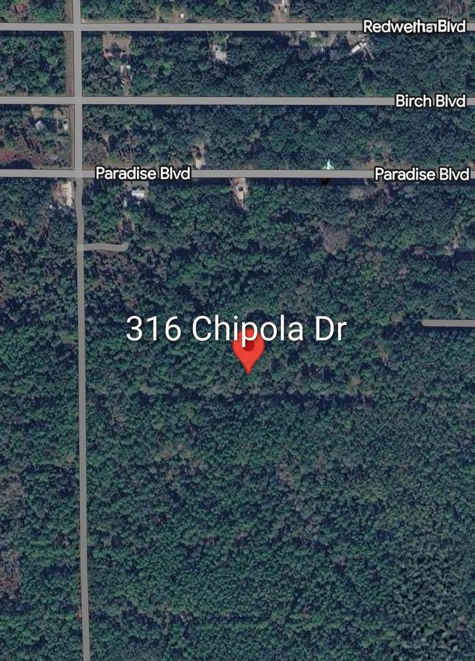 316 Chipola Dr - Photo 1
