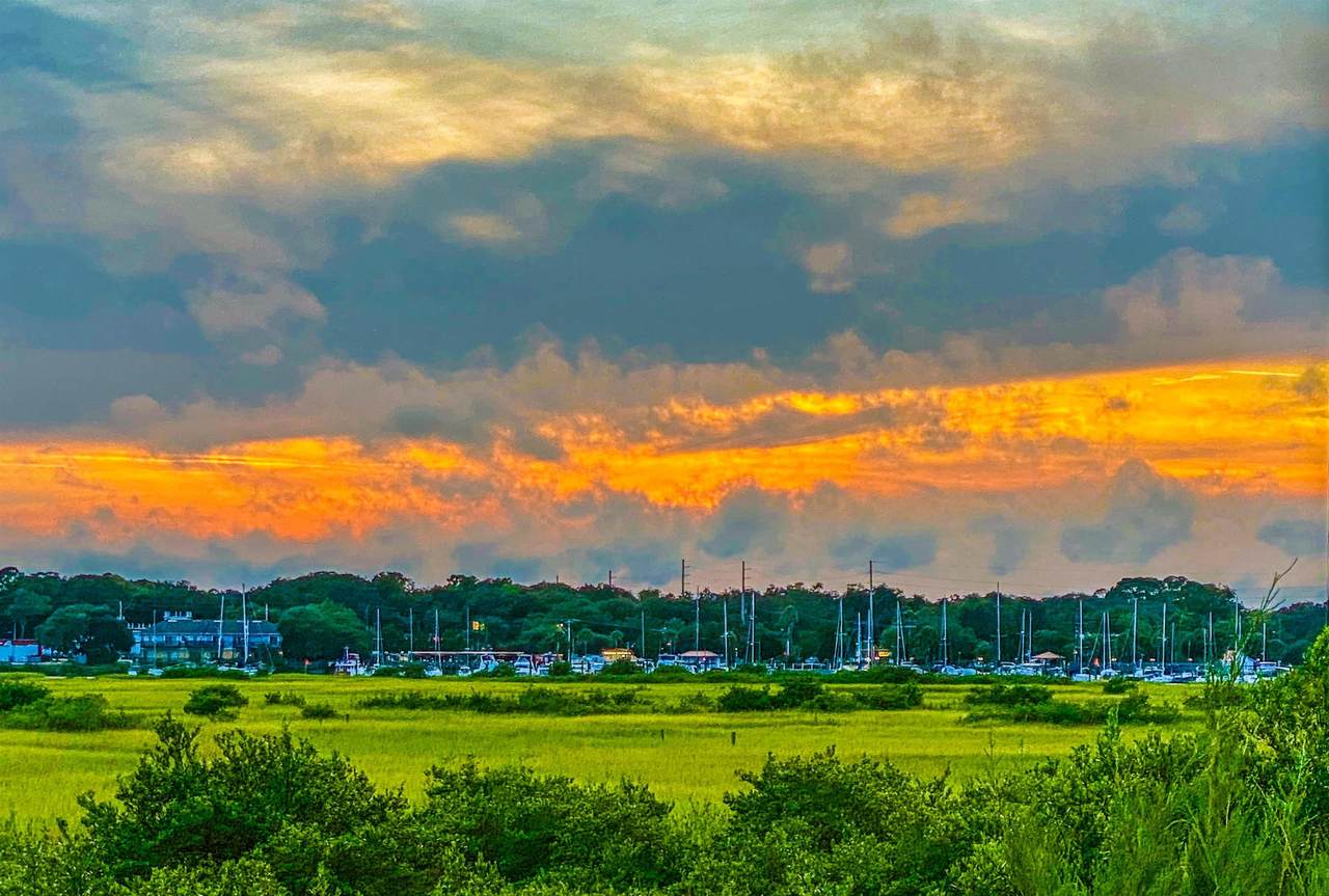 232 Riberia St - Photo 1