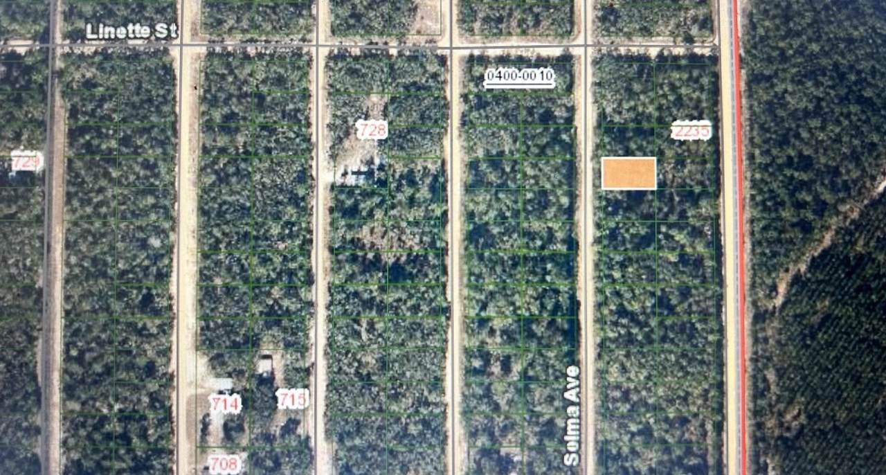 0C Selma Ave - Photo 1