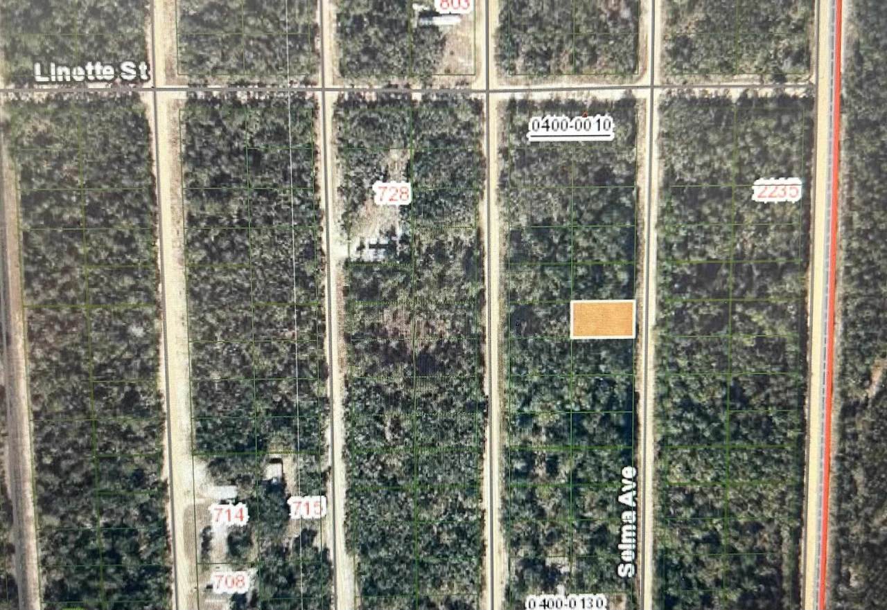 0B Selma Ave - Photo 1
