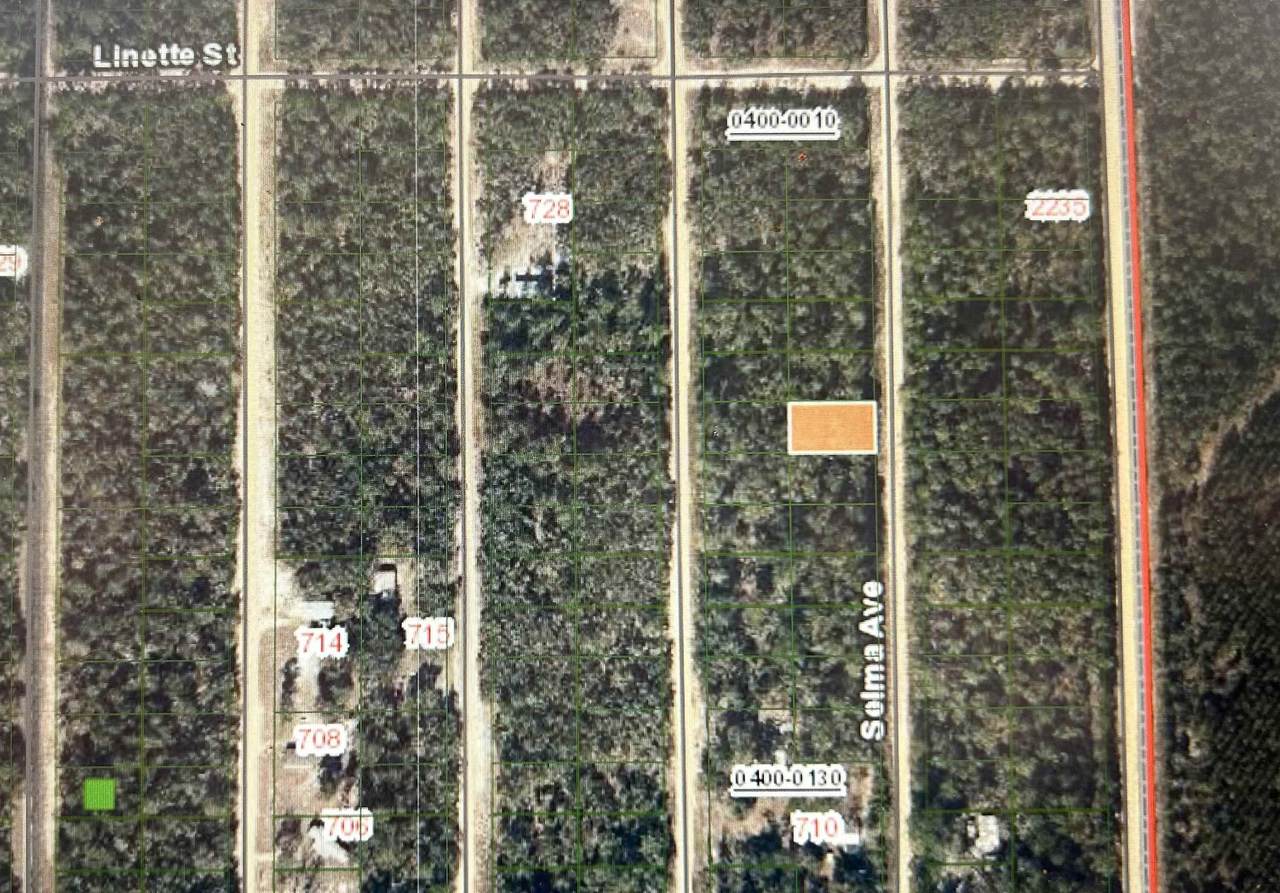 0A Selma Ave - Photo 1