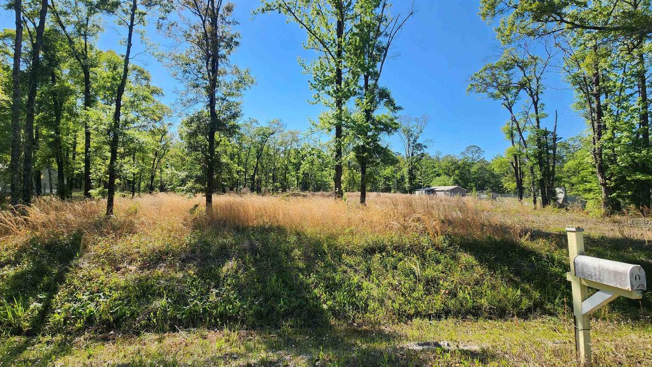 10235 Deep Creek Blvd - Photo 1