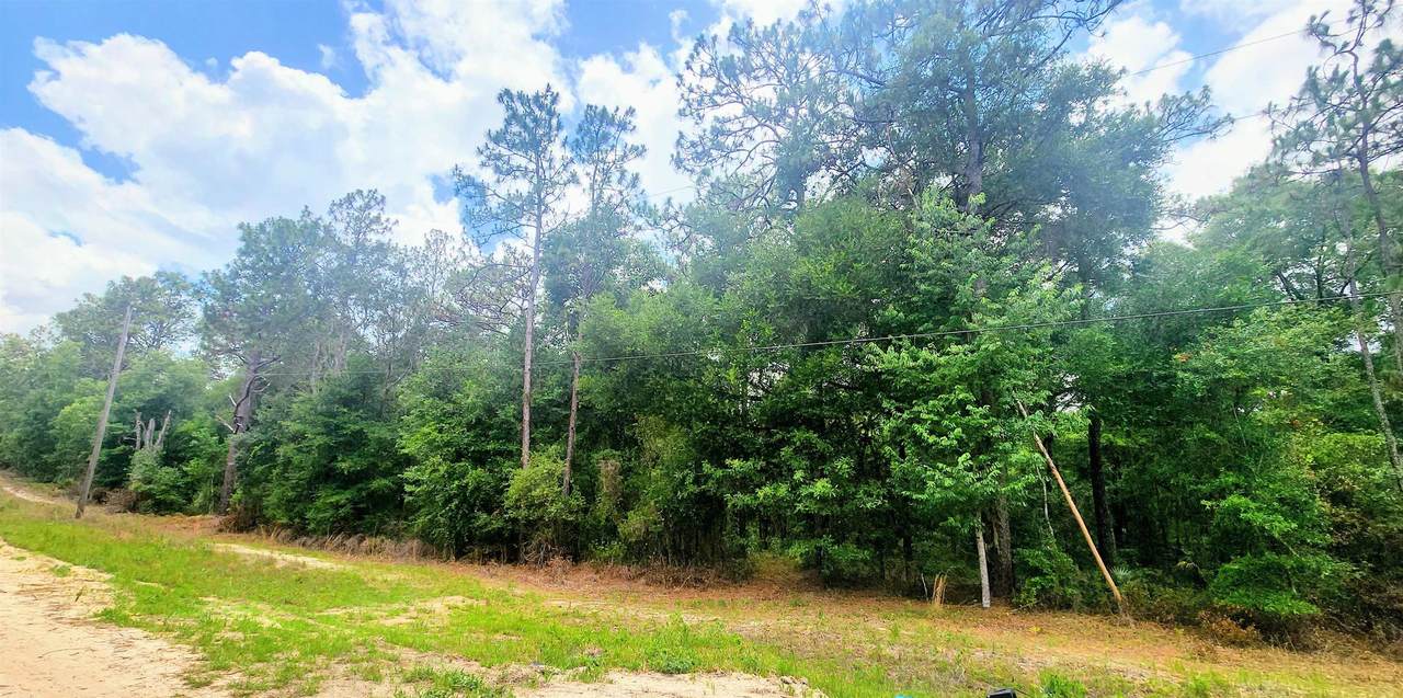 417 Pheasant Rd - Photo 1
