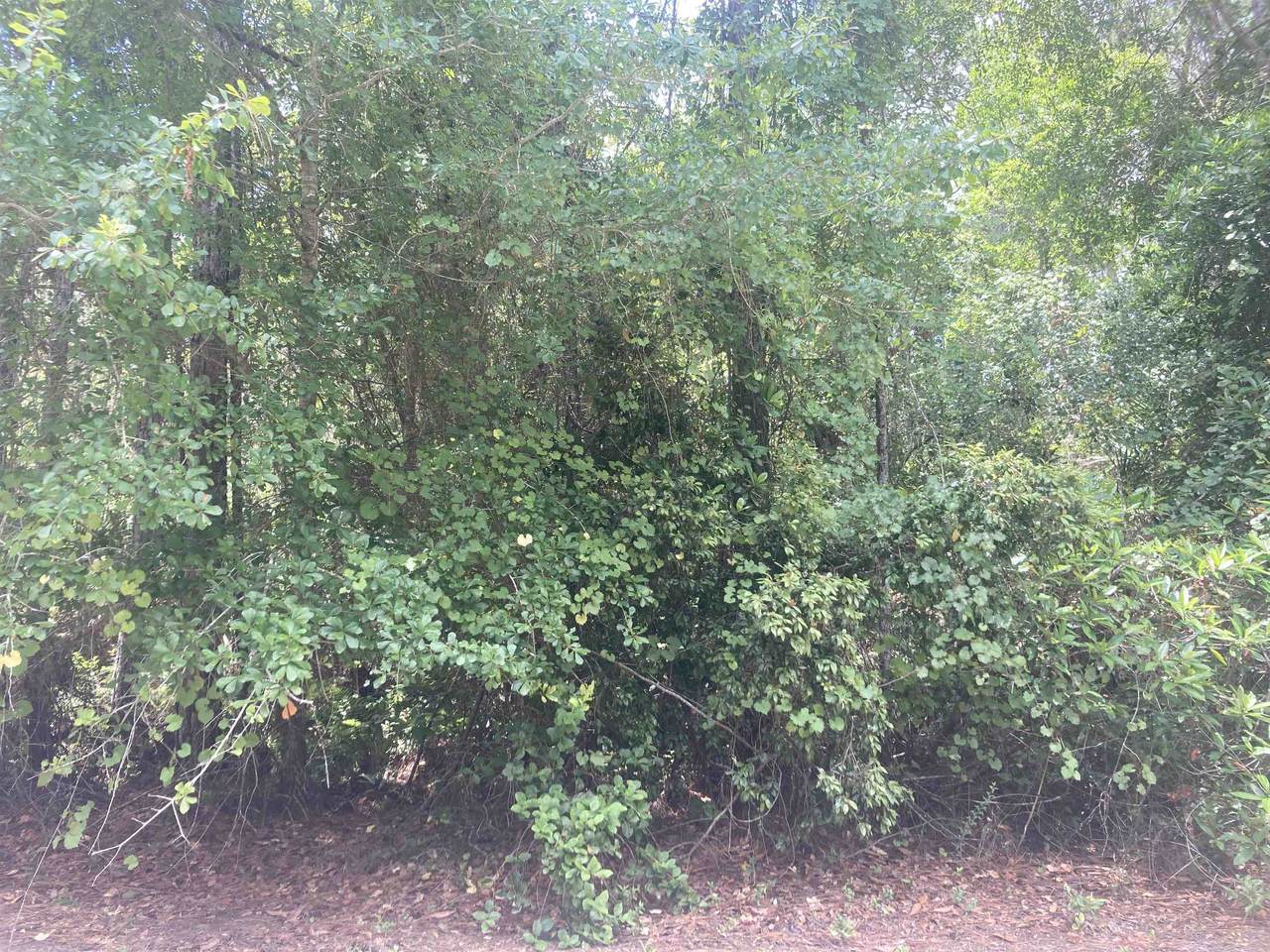 327 Palm Way - Photo 1