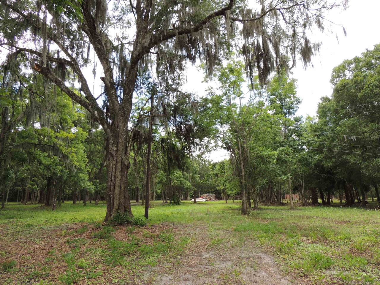 5195 Kelly Rd - Photo 1