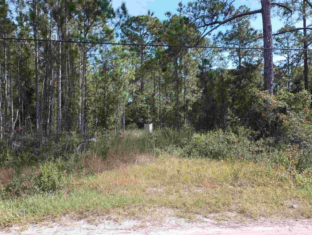 10520 Beckenger Ave - Photo 1