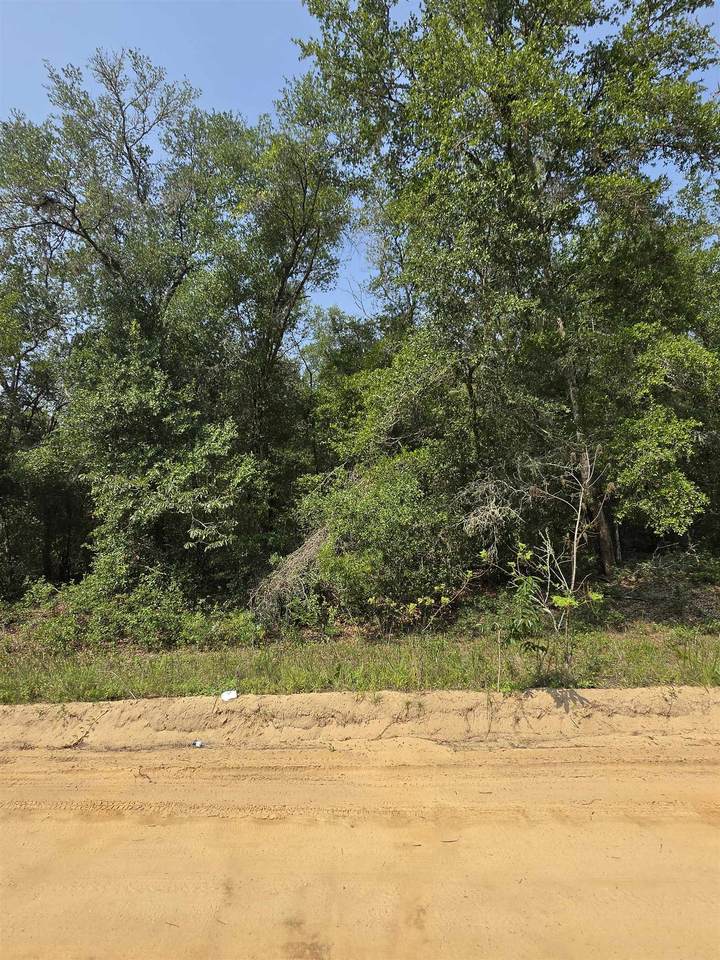  Sherman Drive Circle - Photo 1
