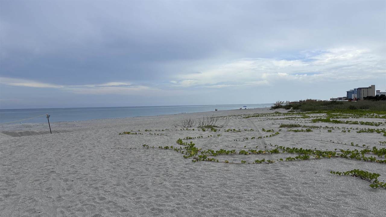 https://bt-photos.global.ssl.fastly.net/staug/1280_boomver_1_263720-2.jpg