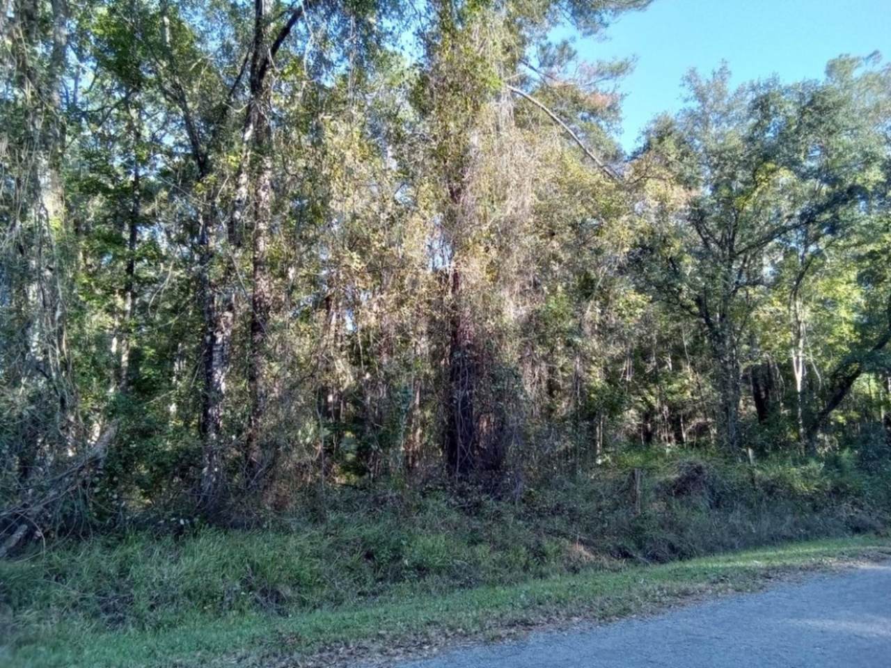 10060 Zigler Ave - Photo 1