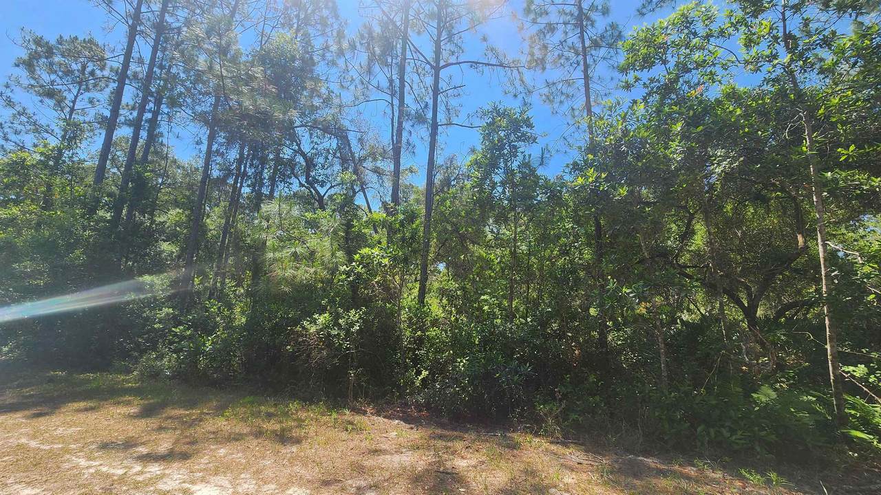 329 Palm Way - Photo 1
