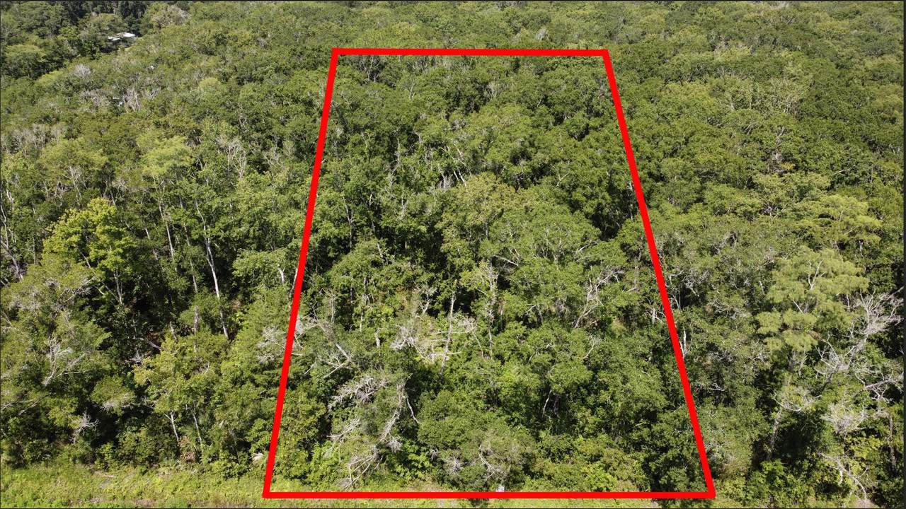 10555 Turpin Ave - Photo 1