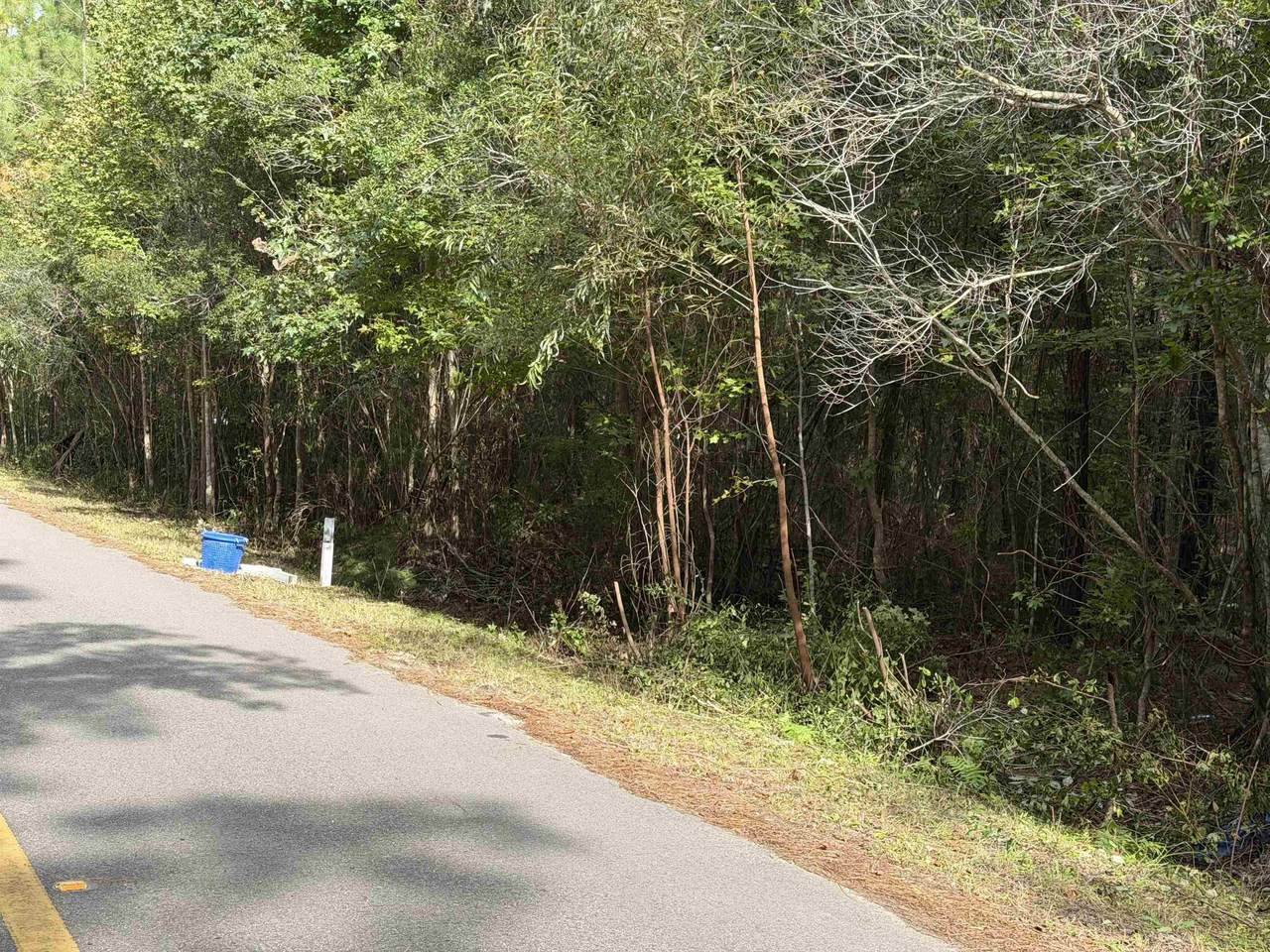 104 Cypress Rd - Photo 1