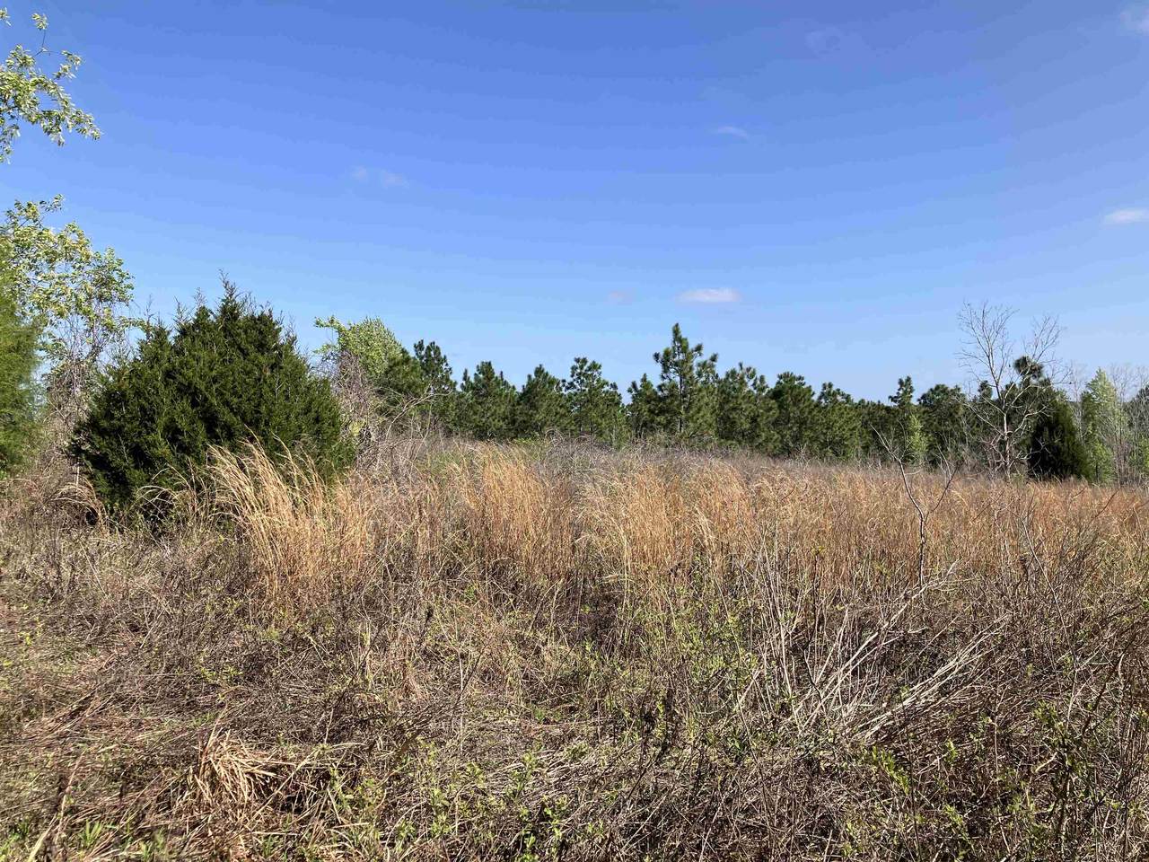 1083 Obrien Pt. - Photo 1