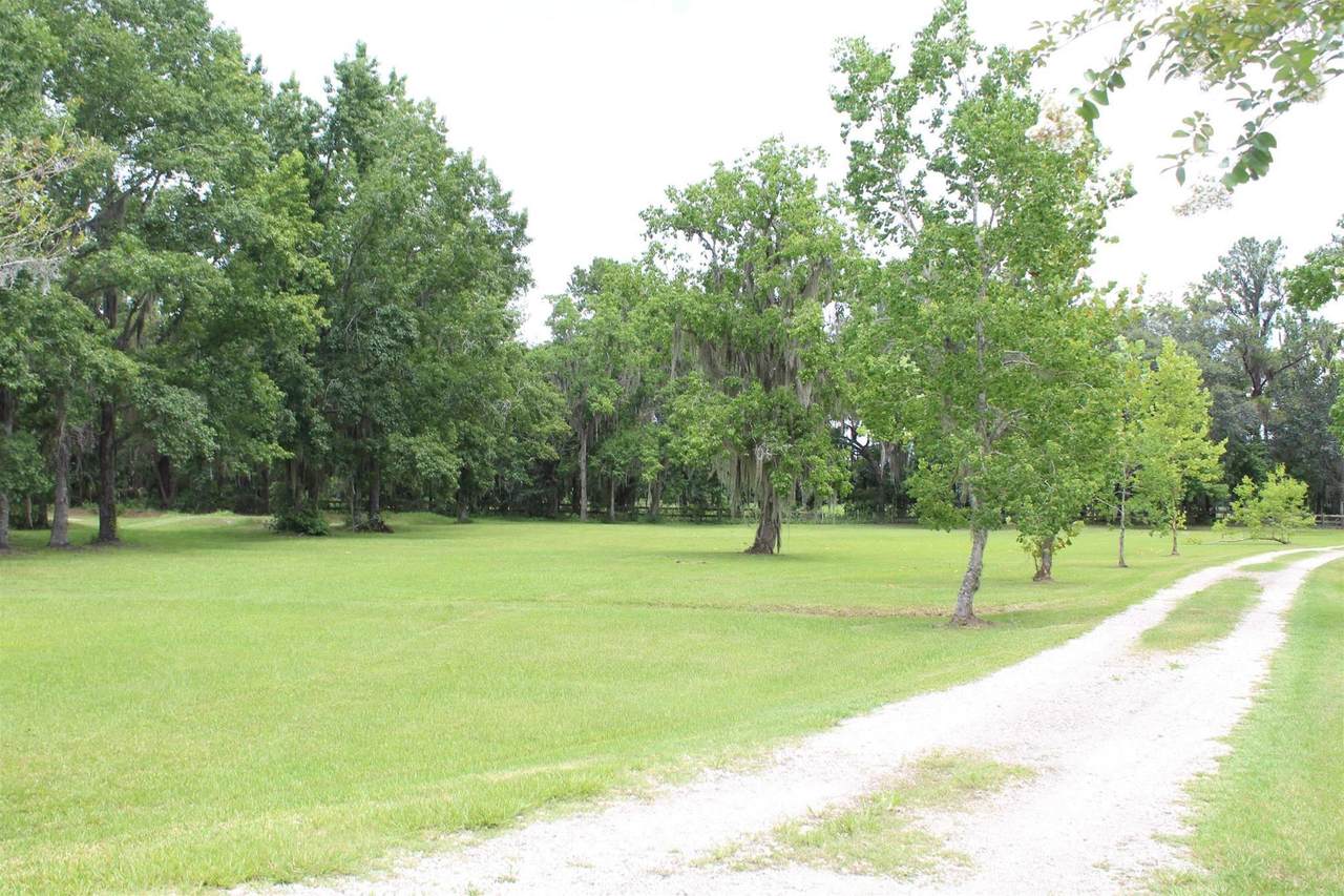 173 Dog Branch Rd - Photo 1