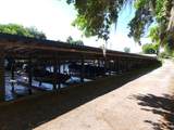 250 Crescent Lane ( With Pool) - Photo 35