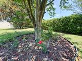 11 Baltimore Ln - Photo 35