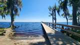 216 Palm Way - Photo 3