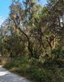 121 Church Rd - Photo 1