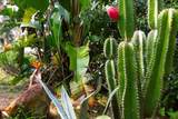 20 Franciscan Way - Photo 32