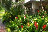 20 Franciscan Way - Photo 34