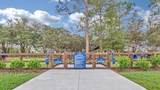 63 Amberwood Dr - Photo 66