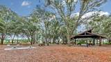 63 Amberwood Dr - Photo 69