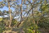 425 Ocean Forest Dr - Photo 12