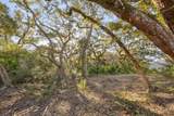 425 Ocean Forest Dr - Photo 13