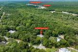 220 Dark Horse Lane - Photo 39