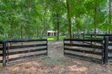 220 Dark Horse Lane - Photo 45