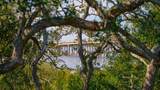 6847 Pomar Rd - Photo 33