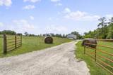 130 Strawberry Ln - Photo 1