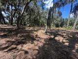 356 Drayton Island Rd - Photo 41