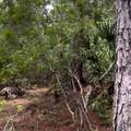 0 Carter Rd - Photo 7