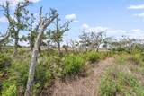 206 Seaside Vista Ct - Photo 8