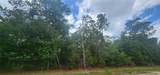 415 Pheasant Rd - Photo 1