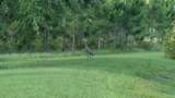 641 State Road 100 - Photo 24