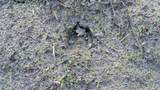 641 State Road 100 - Photo 48