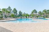 305 Green Turtle Ln - Photo 3