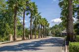 42 Ocale Ct - Photo 93