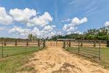 5210 County Road 305 - Photo 43