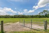 5210 County Road 305 - Photo 59